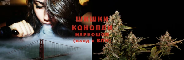 2c-b Богородск