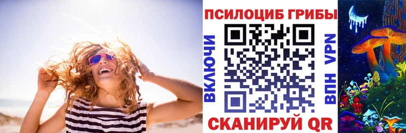 MEGA   Мглин  Псилоцибиновые грибы Cubensis 