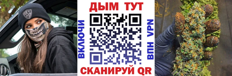 Конопля сатива  Мглин 